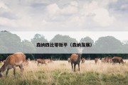 森纳四比零扳平（森纳发展）