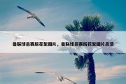 曼联球员赛后花絮图片，曼联球员赛后花絮图片高清