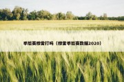 季后赛穆雷打吗（穆雷季后赛数据2020）