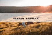 球队试训合约（怎么去球队试训）