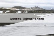 大成搏击阵容，大成拳抗击打能力之训练