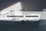 切尔西增高垫子怎么用？ 切尔西是高跟鞋吗？