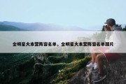 全明星大本营阵容名单，全明星大本营阵容名单图片