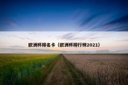 欧洲杯排名卡（欧洲杯排行榜2021）