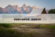 欧篮联小组积分榜，欧篮联分析