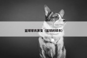 篮球球衣演变（篮球的球衣）