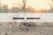 英超加夫曼联？ 英超曼联大名单？