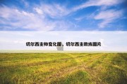 切尔西主帅变化图，切尔西主教练图片