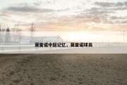 莫雷诺中超记忆，莫雷诺球员