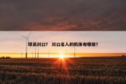 球员川口？ 川口名人的机体有哪些？