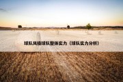 球队风格球队整体实力（球队实力分析）