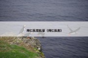拜仁队花队草（拜仁队形）