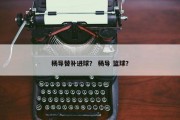 杨导替补进球？ 杨导 篮球？