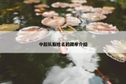 中超队服姓名的简单介绍