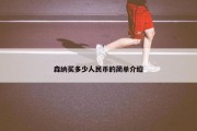 森纳买多少人民币的简单介绍