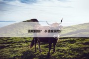 温妮回放？ 小温妮回放？