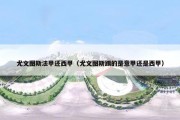 尤文图斯法甲还西甲（尤文图斯踢的是意甲还是西甲）