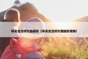球员交流切尔西回放（球员交流切尔西回放视频）