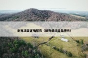 耐克法国客场球衣（耐克是法国品牌吗）