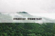 芒特进球卡点？ 芒特是哪个队的？