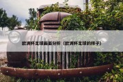 欧洲杯足球画面分析（欧洲杯足球的样子）