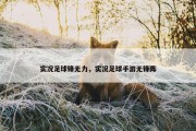 实况足球锋无力，实况足球手游无锋阵