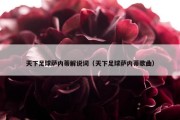 天下足球萨内蒂解说词（天下足球萨内蒂歌曲）