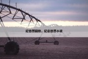 纪悠然回放，纪总悠然小说