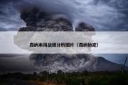 森纳本周战绩分析图片（森纳协定）