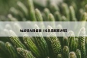 哈兰德大胜曼联（哈兰德联赛进球）