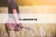 tbvs回放的简单介绍