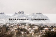 中国功夫足球断腿教学？ 足球断腿视频集锦？