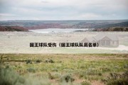 国王球队受伤（国王球队队员名单）