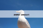 战魂阵容（战魂怎么打）