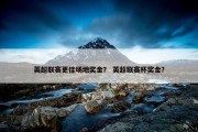 英超联赛更佳场地奖金？ 英超联赛杯奖金？