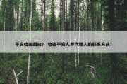 平安哈密回放？ 哈密平安人寿代理人的联系方式？
