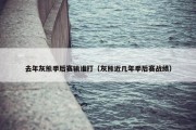 去年灰熊季后赛输谁打（灰熊近几年季后赛战绩）