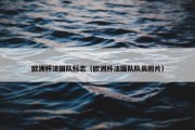 欧洲杯法国队标志（欧洲杯法国队队员照片）
