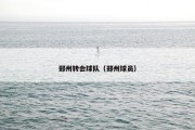 郑州转会球队（郑州球员）