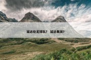 延达伦足球队？ 延达集团？
