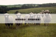 排球联赛谷？ 排球国际联赛？
