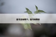 皇马没有哪个，皇马有哪些