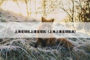 上海足球队上港足球队（上海上港足球队员）