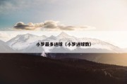 小罗最多进球（小罗进球数）
