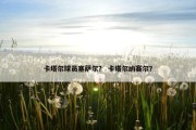 卡塔尔球员塞萨尔？ 卡塔尔纳赛尔？