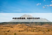 内维尔炮轰曼联，内维尔什么水平