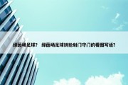 绿茵场足球？ 绿茵场足球拼抢射门守门的看图写话？