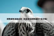 利物浦克洛普水货（克洛普在利物浦花了多少钱）