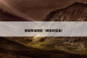 精密阵容搭配（精密的装备）