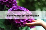 掘金今年季后赛成绩怎样，掘金队季后赛战绩